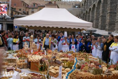 Comisionado por Segovia 2016, al pie del acueducto, 2009