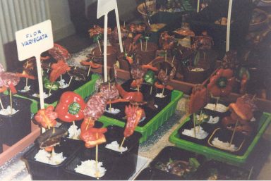 Espacio Cultural Tecla Sala, Barcelona, 1996